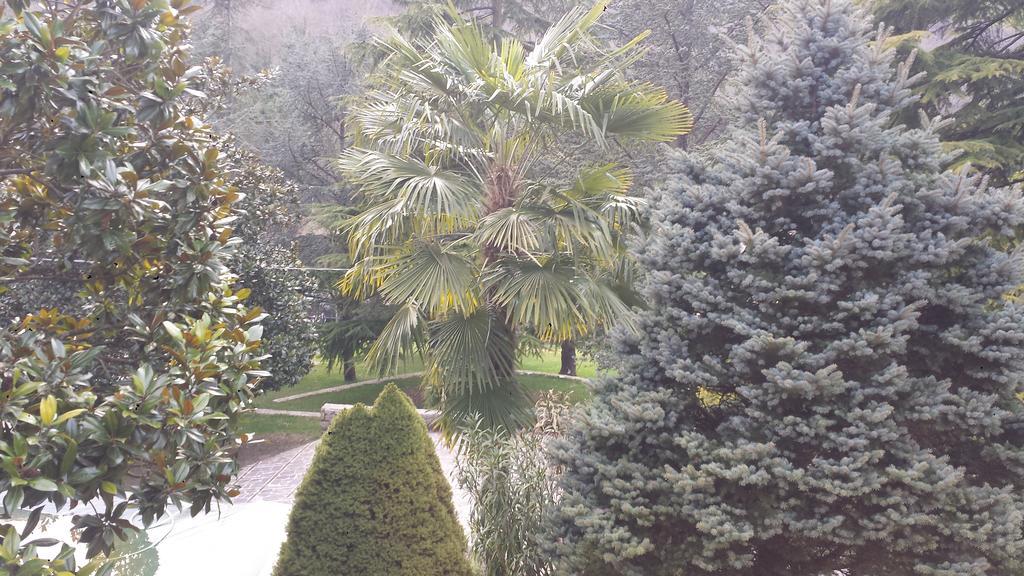 Fontana Vecchia Bed & Breakfast Atina ภายนอก รูปภาพ